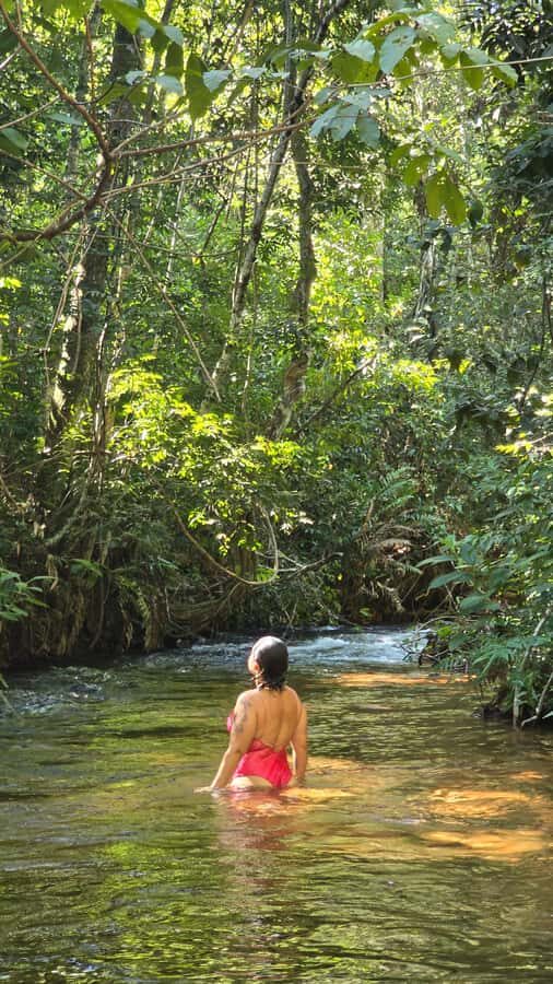 Chapada dos Guimarães:Cidade de Pedra + Vale do Rio Claro with Véu de Noiva - Key highlights you’ll feel immediately
