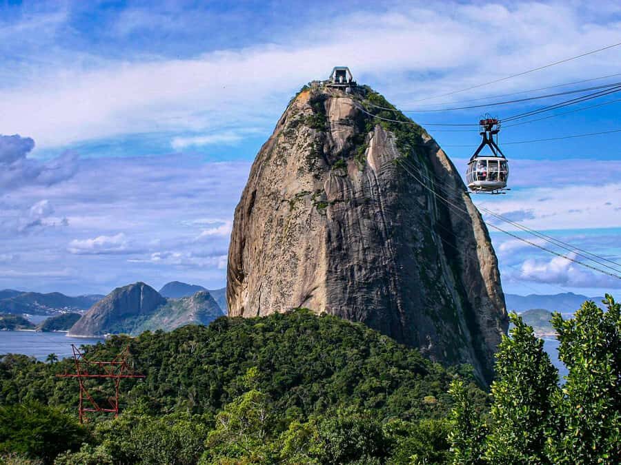 Christ the Redeemer and Escadaria Selarón Half-Day Tour - Christ the Redeemer: Classic Views, Real-Time Logistics