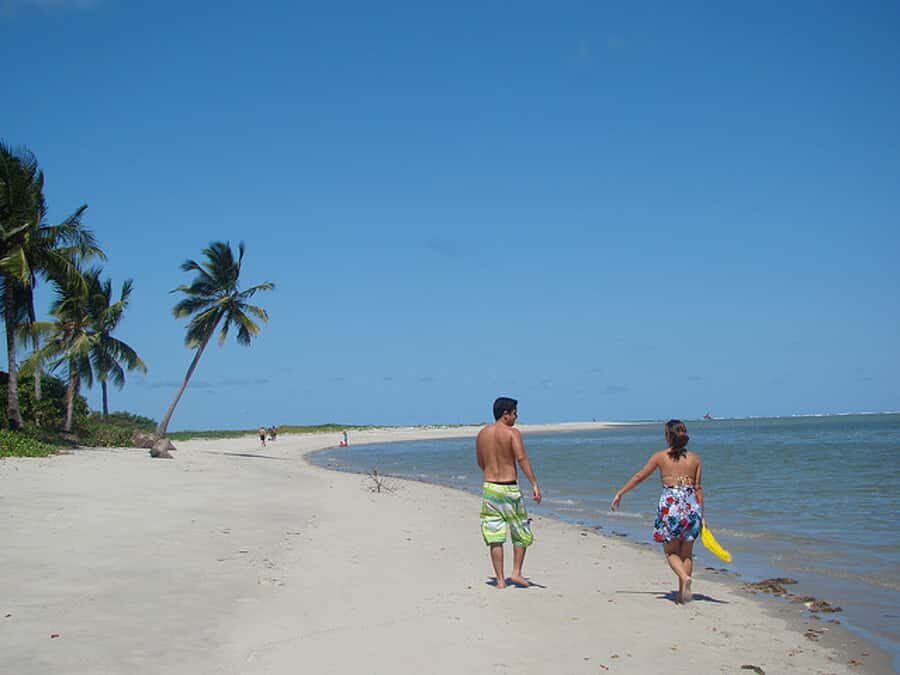 Colonial North Coast beaches - Full-Day Tour - Starting From Recife: Pickup, Transfer, and Timing Reality