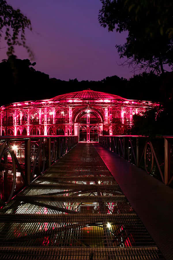 Curitiba: 4-Hour City-By-Night Tour with Dinner - Botanical Garden at Night: A Slower Pace in the Middle of the Sights