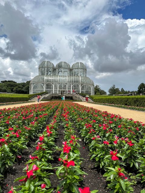 Curitiba: A Complete City Tour - How the 8-hour format works in Curitiba (and why that’s good)