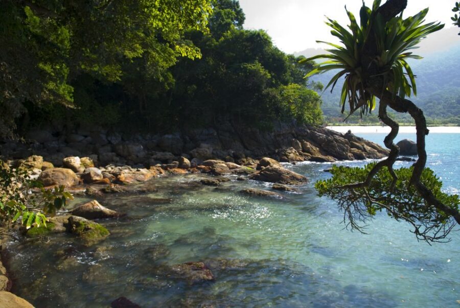 Day Tour to Trindade: Nature and Sea Adventure from Paraty - Who should book this tour, and who should skip it