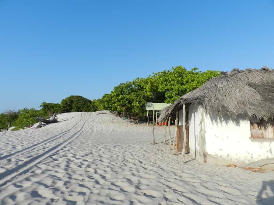 Day trip to Atins through the Lencois Maranhenses - The 33 km 4x4 ride: the best views come with some bumps