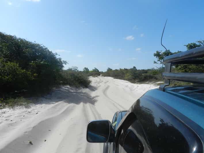 Day trip to Atins through the Lencois Maranhenses - Price and value: is $88 per person fair for this day?