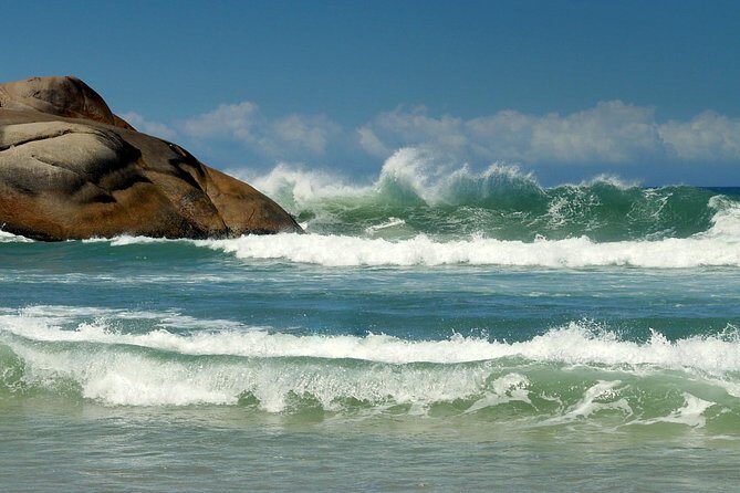 Discover Florianópolis: Full Day City Tour and Local Highlights - The guides can make or break this kind of day