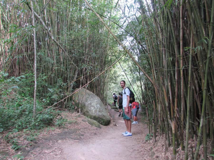 Discover Pedra do Telégrafo: Scenic Hike with Expert Guide - Why This Hike Feels Like Rio’s Best Photo Trick