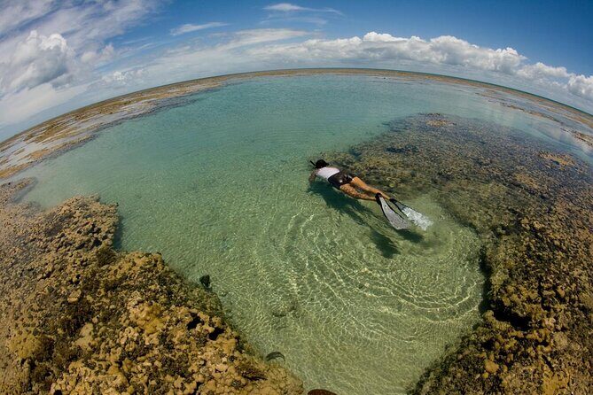 Discover Underwater Beauty: Explore Maracajaú's Parrachos Reef - Key things to know before you go