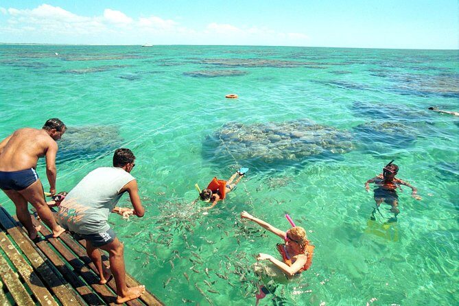 Discover Underwater Beauty: Explore Maracajaú's Parrachos Reef - Getting from Natal to Maracajaú: the coach sets the mood