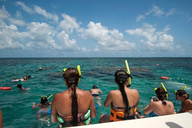 Discover Underwater Beauty: Explore Maracajaú's Parrachos Reef - What to bring (and what to skip)