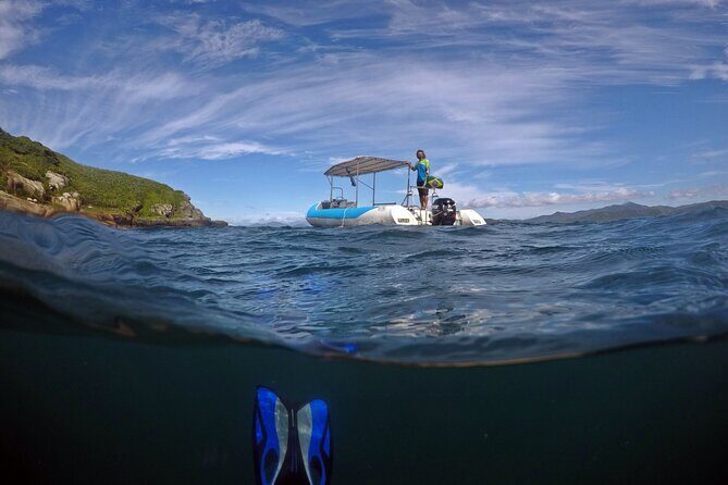 Diving with Turtles in Floripa - Key things that make this trip a great fit