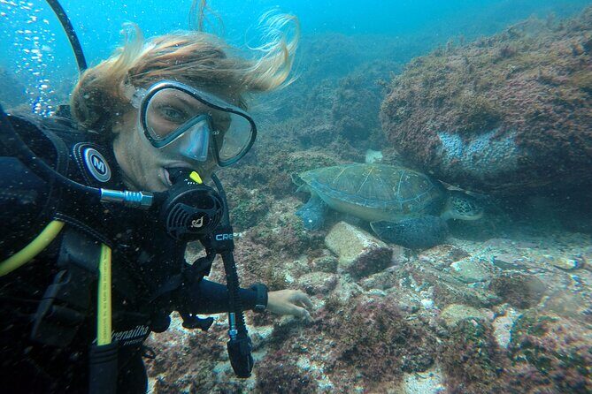 Diving with Turtles in Floripa - Why Xavier Island Is the Star of the Morning