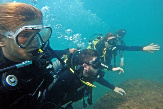 Diving with Turtles in Floripa - Baptismal Scuba or Snorkeling: How Your Water Time Is Split