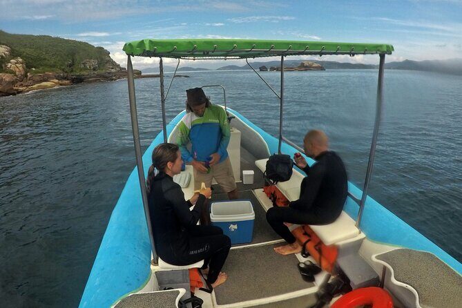 Diving with Turtles in Floripa - Colorful Fish Are the Bonus, Not the Plan B