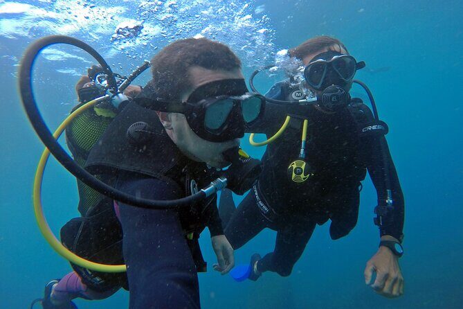 Diving with Turtles in Floripa - Price and Value: What $97.82 Covers (and What It Doesn’t)