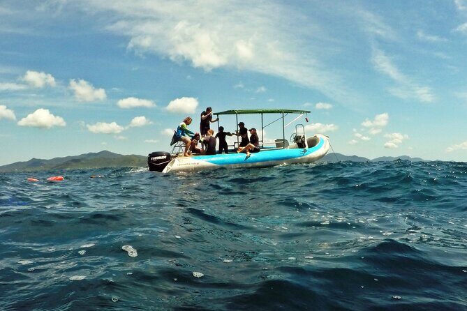 Diving with Turtles in Floripa - Timing Tips: Get Ready for a Morning That Moves