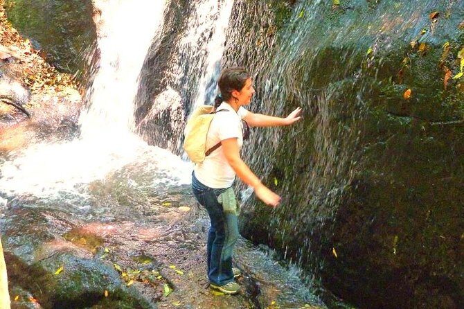 Ecological walk in sao paulo - Key points worth knowing before you go