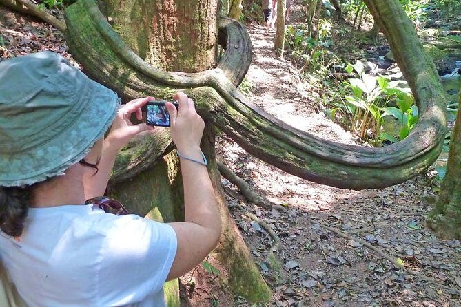 Ecological walk in sao paulo - The naturalist guide factor: why this feels smarter than a generic hike
