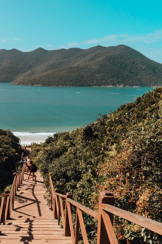 Excursão Arraial do Cabo com saída do Rio de Janeiro - Forno Beach cove: Atlantic Forest views with swim time