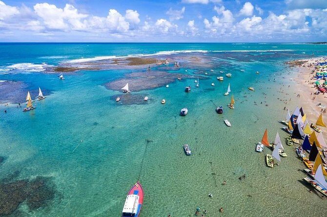 Excursion to Porto de Galinhas in Pernambuco - Key Things to Know Before You Go