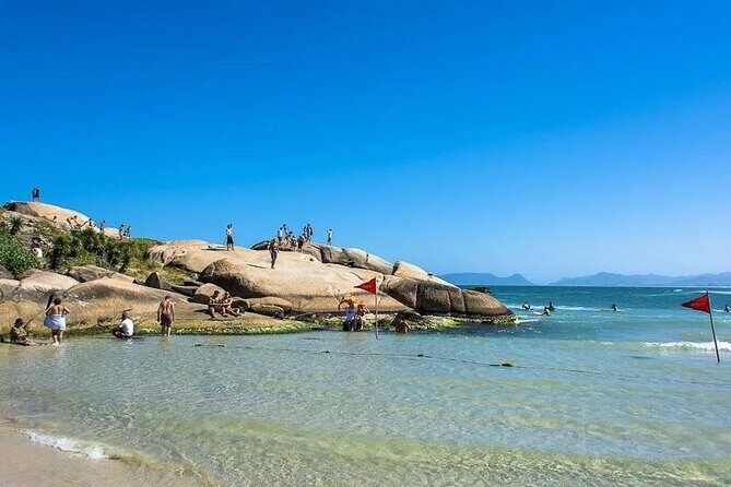 Florianópolis city tour (full day) - A Full-Day Loop That Makes Floripa Feel Manageable