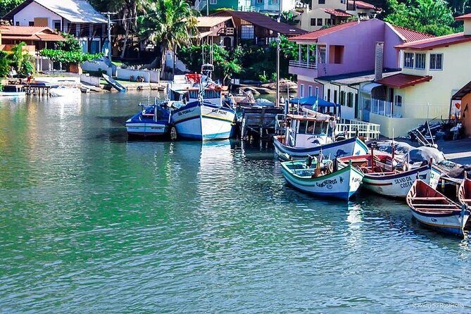 Florianópolis city tour (full day) - Barra da Lagoa: Fishing Village, a Trail Through Atlantic Forest, and Natural Pools
