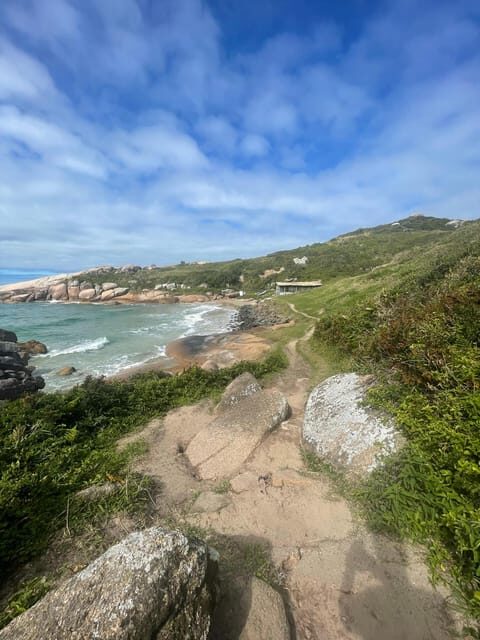 Florianopolis: Gravata Beach Trail with Picnic - Weather, Timing, and Dolphin-View Reality