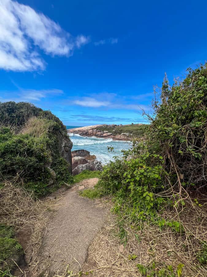 Florianopolis: Gravata Beach Trail with Picnic - From Florianopolis Forest to Gravata Beach: How the Tour Flows
