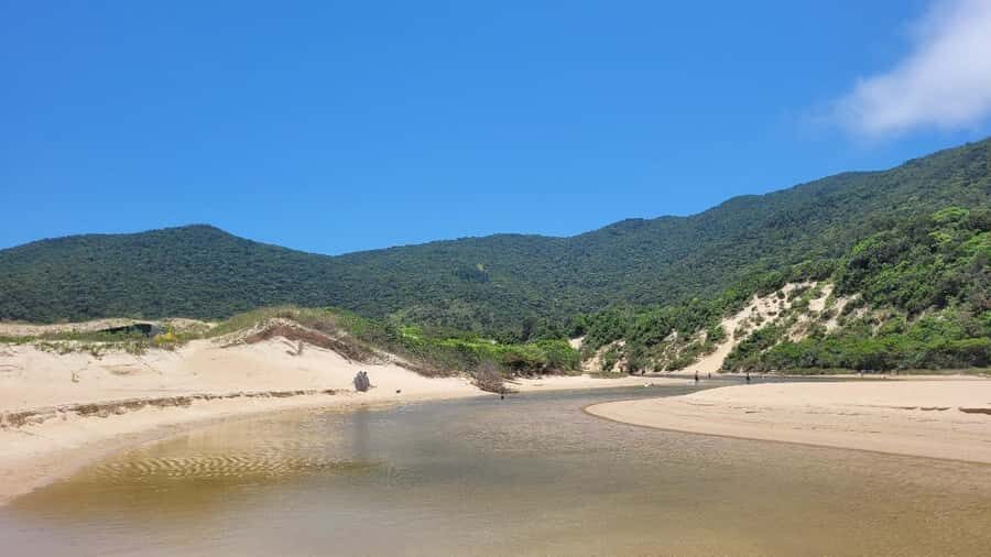 Florianopolis: Lagoinha do Leste Natural Park Hike - Pico Top Crown lookout: when the hard work pays off