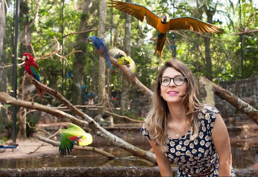 Foz do Iguaçu: Bird Park Tour with Tickets - The Restaurant Stop by the Lake of the Flamingos