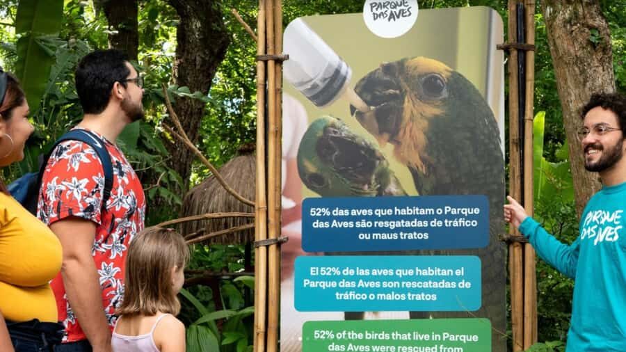 Foz do Iguaçu: Bird Park Tour with Tickets - What to Bring (and What to Skip) for a Smooth Visit
