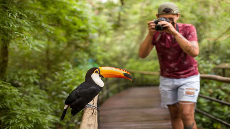 Foz do Iguaçu: Brazilian Side of the Falls + Bird Park - What to Bring and Wear (So Your Feet Don’t File a Complaint)