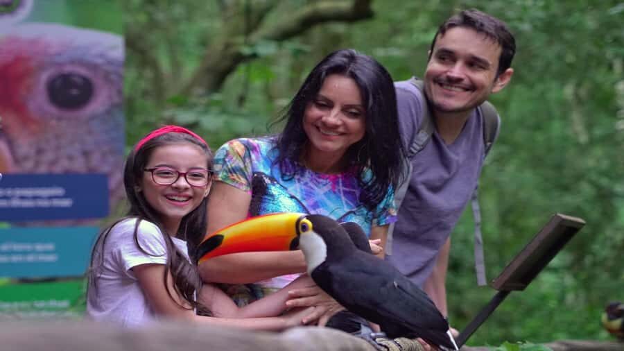 Foz do Iguaçu: Brazilian Side of the Falls + Bird Park - Should You Book the Brazilian Falls + Bird Park Tour?