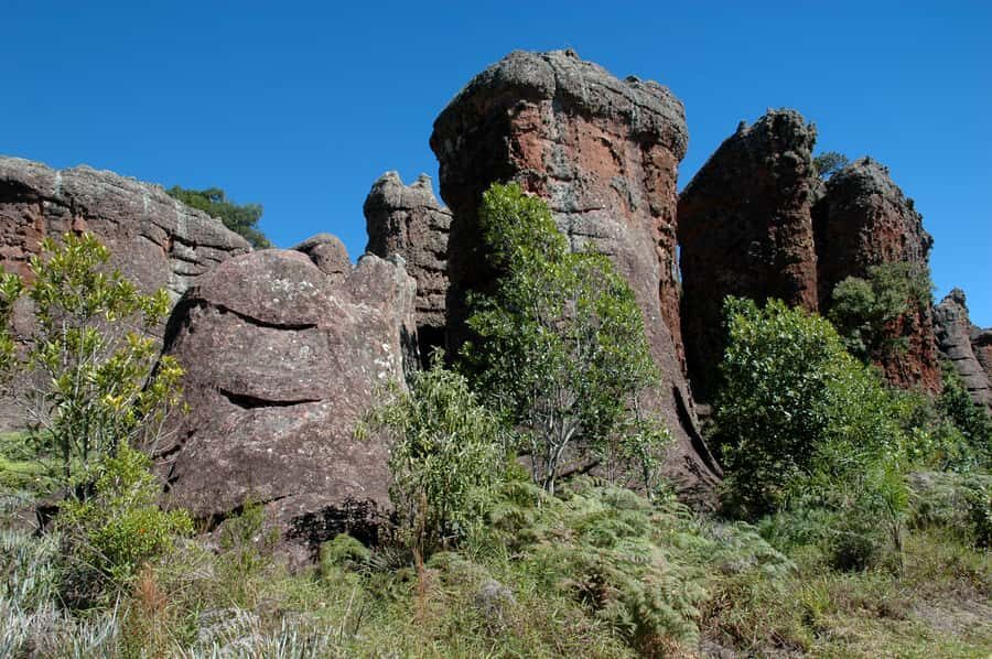From Curitiba: Vila Velha State Park Full-Day Group Tour - What to bring and how to pace yourself in one day