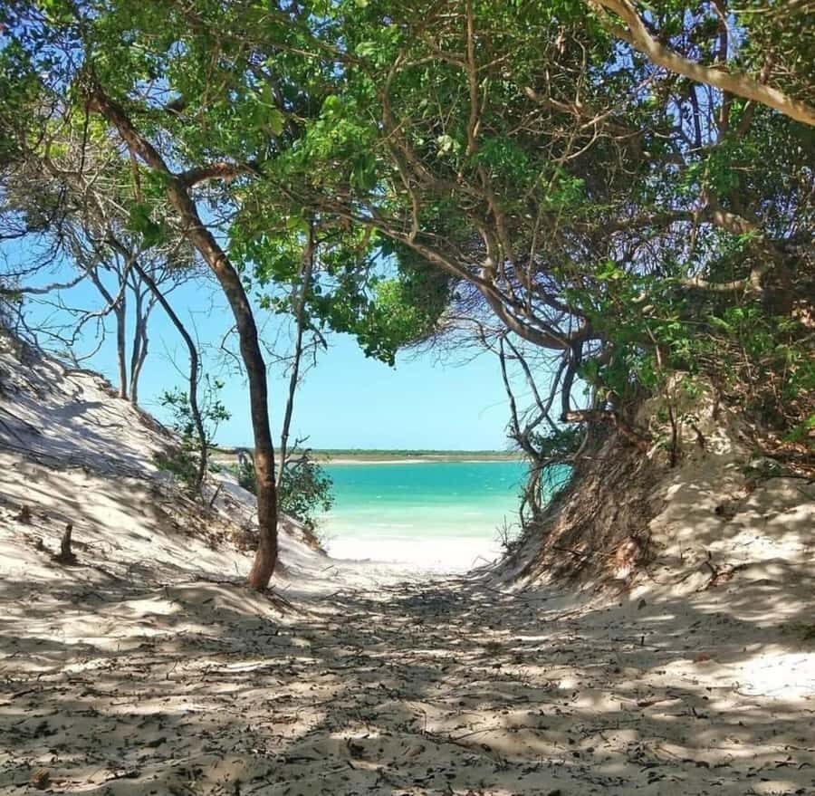 From Fortaleza: Day Trip to Jericoacoara - Timing and return: why the whole day runs 18 hours