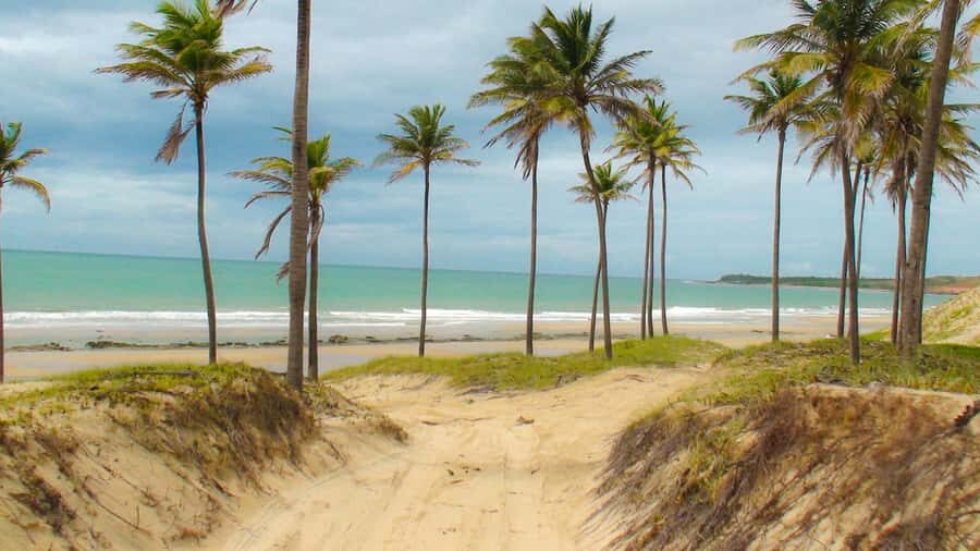 From Fortaleza: Lagoinha Beach Day Trip - Lagoinha in 11 hours from Fortaleza: a beach day built around the ocean