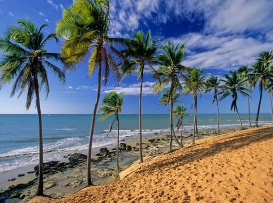 From Fortaleza: Lagoinha Beach Day Trip - The 124 km drive: yes, it’s long, but it sets up the day