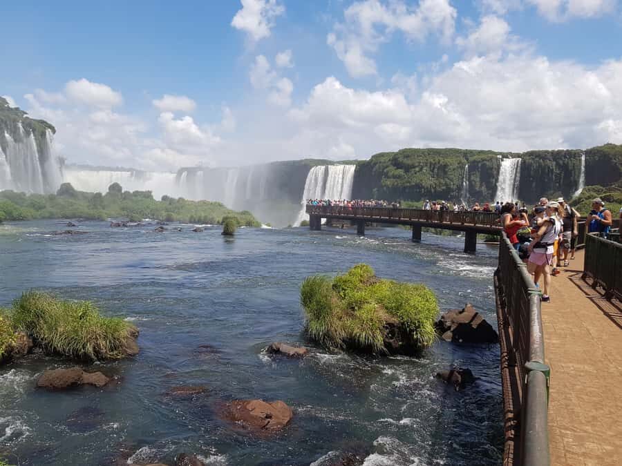 From Foz do Iguaçu: Brazilian Falls and Bird Park Tour - Highlights That Make This Tour Worth Your Time