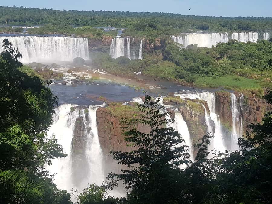 From Foz do Iguaçu: Brazilian Falls and Bird Park Tour - What Kind of Traveler This Tour Fits Best