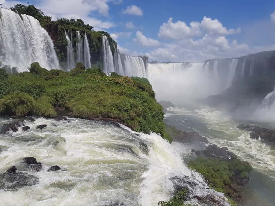From Foz do Iguaçu: Brazilian Falls and Bird Park Tour - Bird Park First: Atlantic Forest Birds Up Close (Without Feeling Like a Zoo)