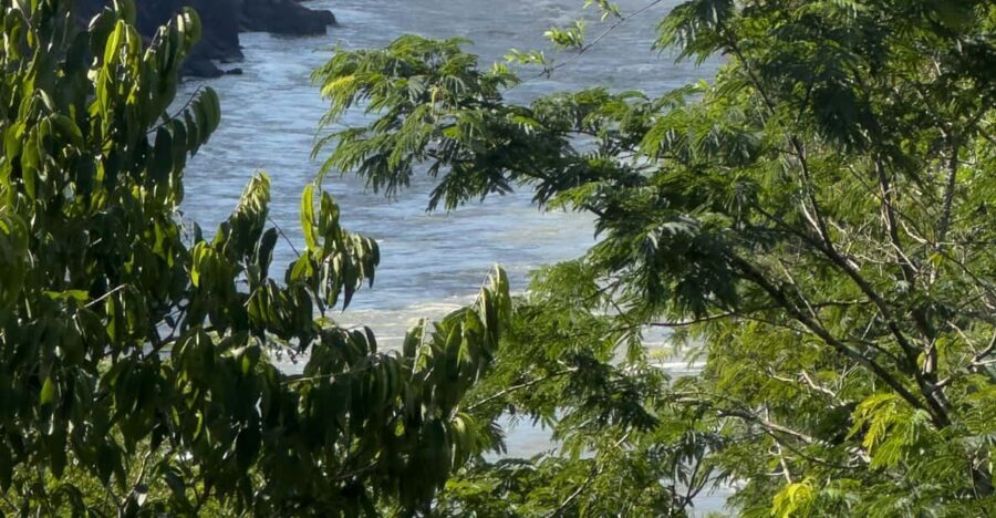 from Foz do Iguaçu: Private Tour on Argentinean Falls - Upper Circuit: sweeping views that help you grasp the whole system