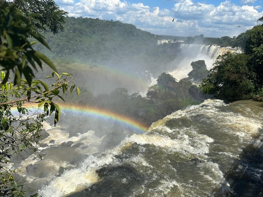 from Foz do Iguaçu: Private Tour on Argentinean Falls - Price and value: $241 per group up to four, with real logistics covered