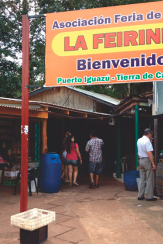 From Foz do Iguaçu: Puerto Iguazu Night Tour - The van rides, pickup/drop-off, and why it matters