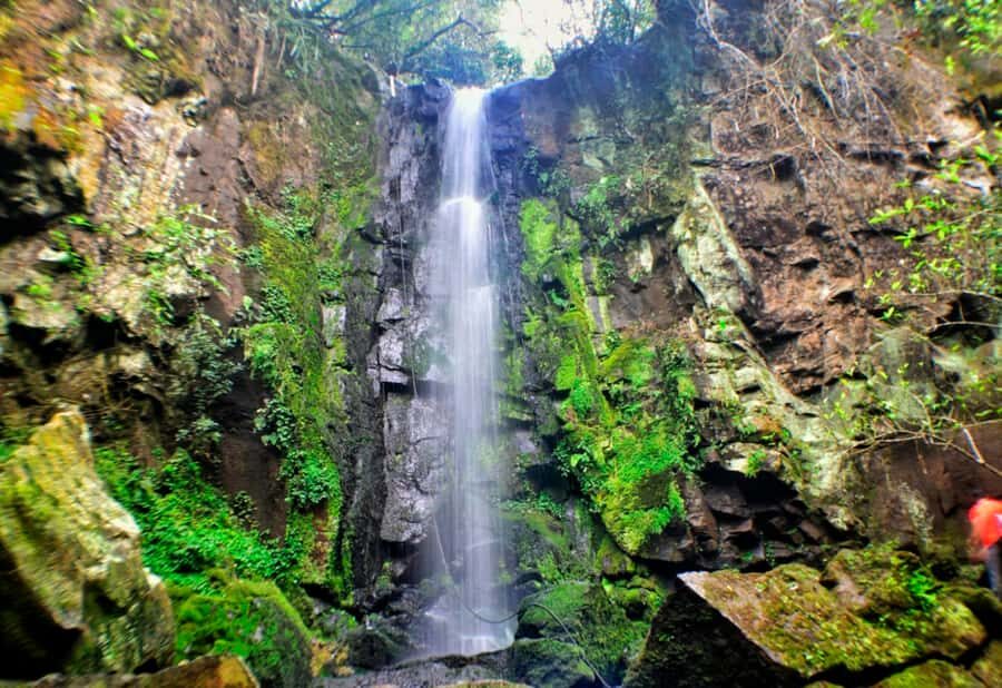 From Foz do Iguaçu: Secret Falls Adventure - Why Foz do Iguaçu Secret Falls feels more natural than the main stops