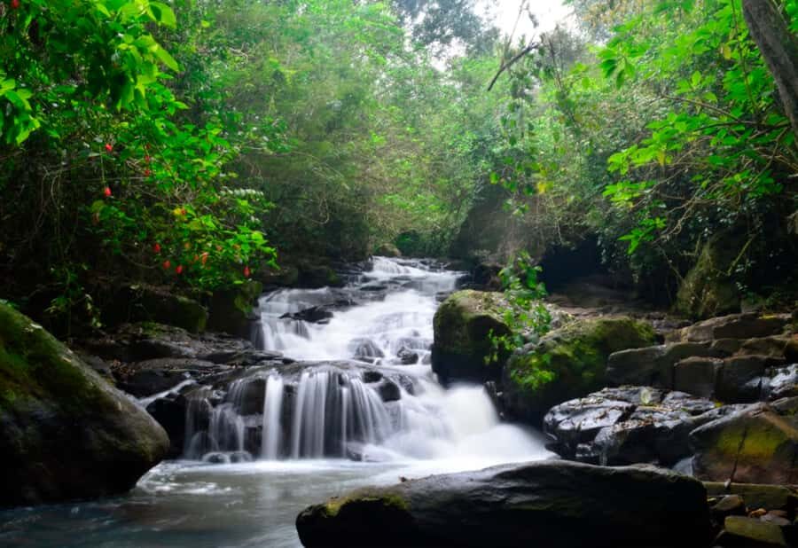 From Foz do Iguaçu: Secret Falls Adventure - Iguassu Secret Falls: the guided walk through rainforest and 5 waterfall stops