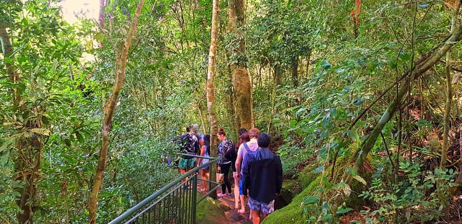 From Foz do Iguazu: Brazil Iguazu Falls & Macuco Safari Boat - How the Timing Feels: 6–8 Hours That Stay Focused on the Falls