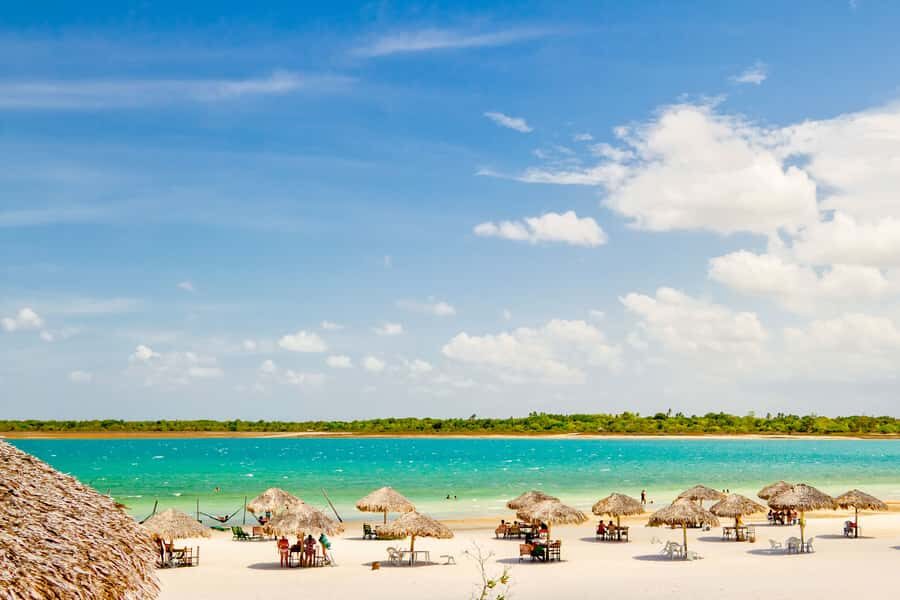 From Jericoacoara: Preá Beach and Paradise Lagoon Tour - Tree of Laziness: the quirky stop that breaks up the drive