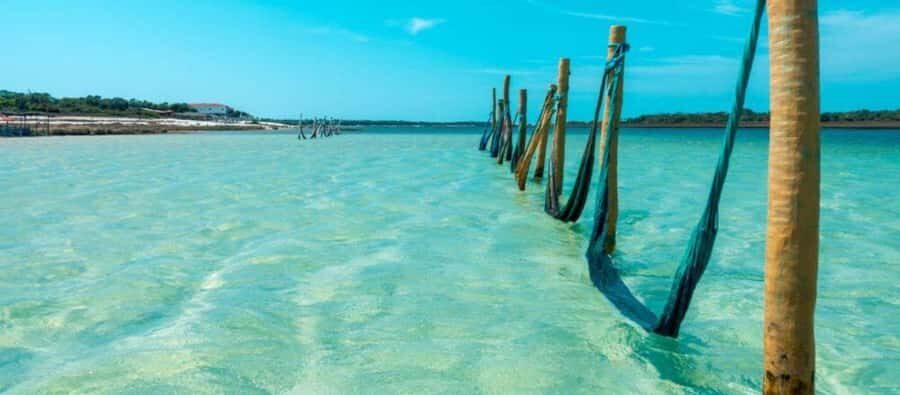 From Jericoacoara: Preá Beach and Paradise Lagoon Tour - What’s included, and what you should confirm on the day
