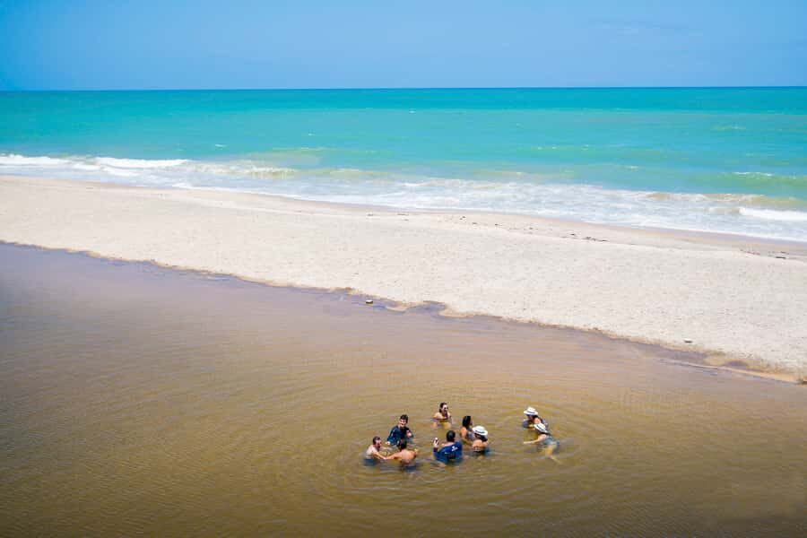 From João Pessoa: Full-Day Southern Coast Beaches Tour - Key highlights worth planning for