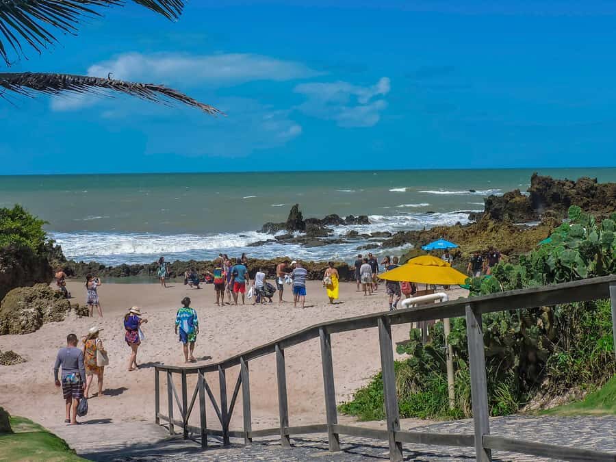 From João Pessoa: Full-Day Southern Coast Beaches Tour - Price and value: is $177 per person a good deal?