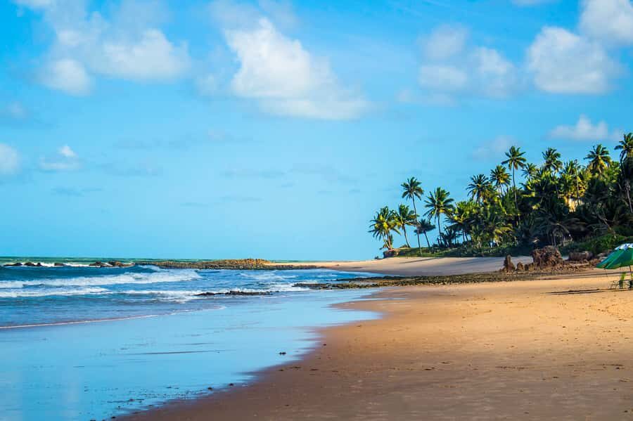From João Pessoa: Full-Day Southern Coast Beaches Tour - Casa do Doce: sweets, cachaça, and a local stop that sets the tone